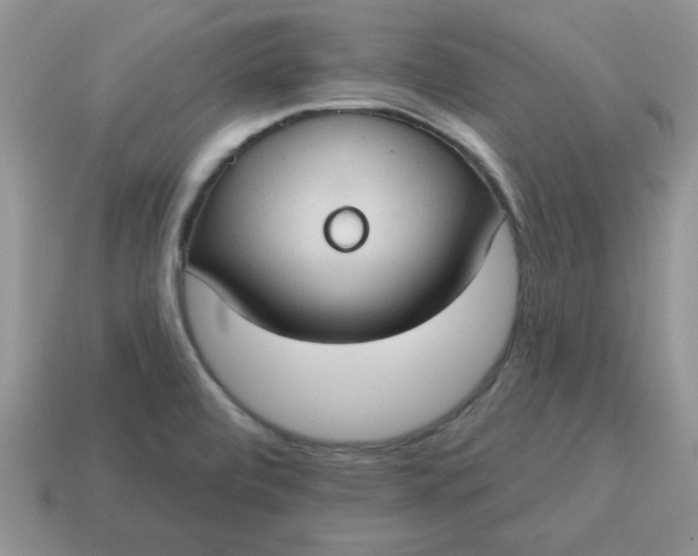 X0000115031472200911091332