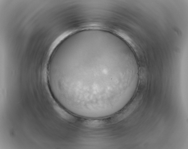 X0000115031474200911091332