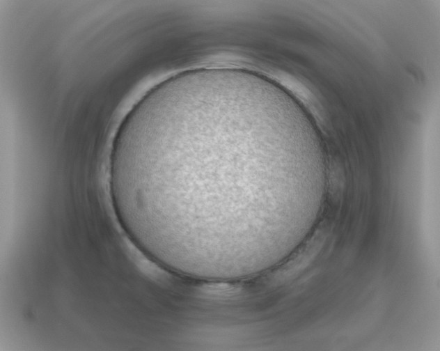 X0000115031478200911091332