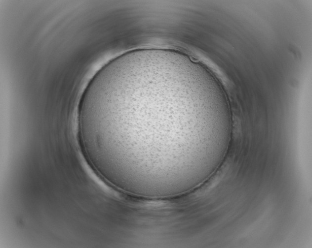 X0000115031479200911091332