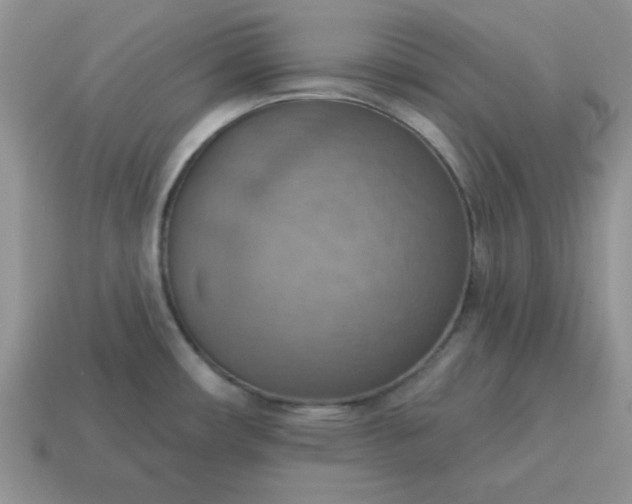 X0000115031482200911091332