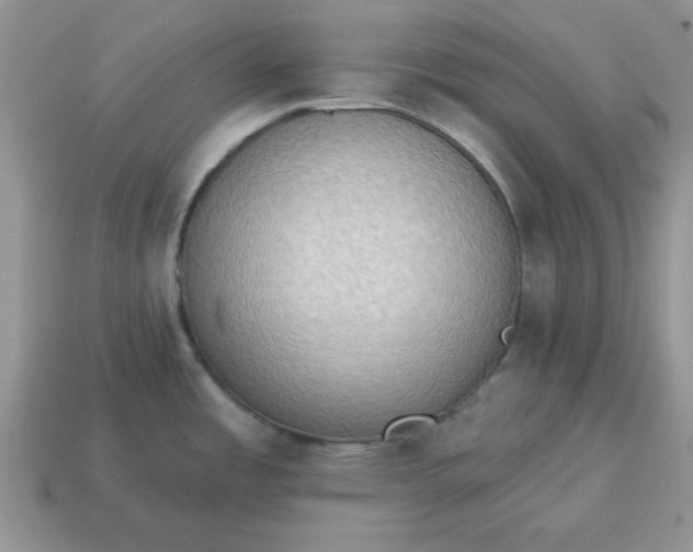 X0000115031485200911091332
