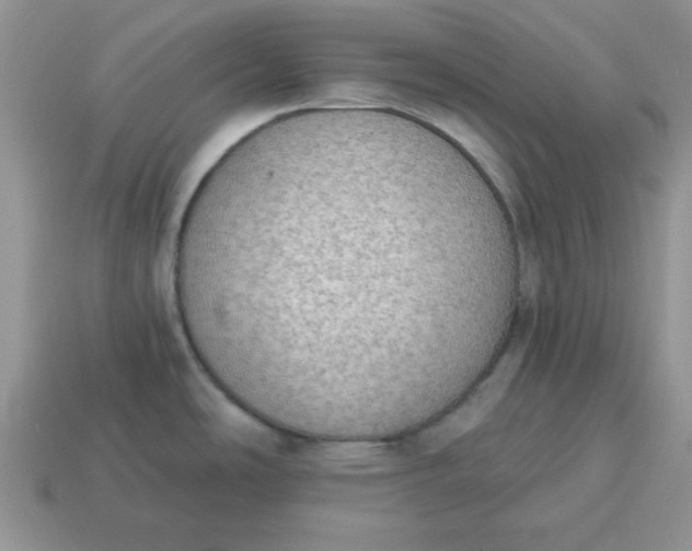 X0000115031486200911091332