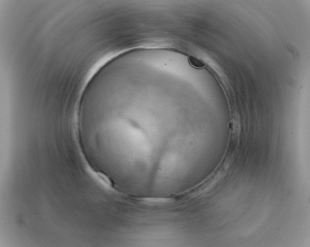 X0000115031487200911091332