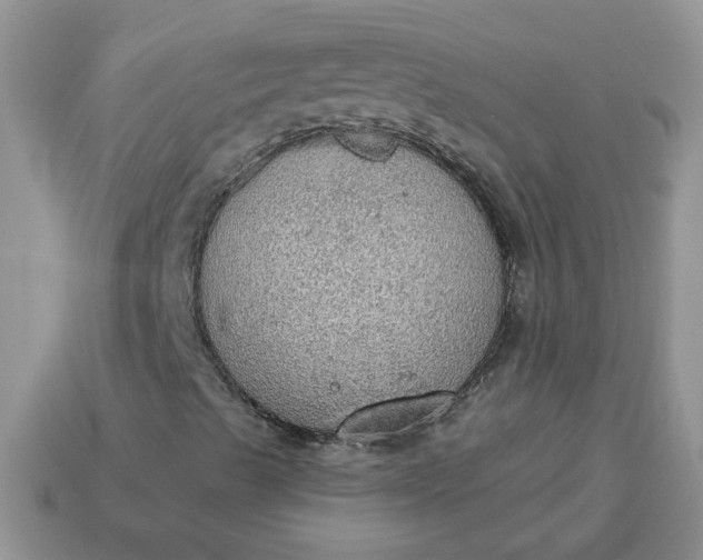 X0000115031489200911091331