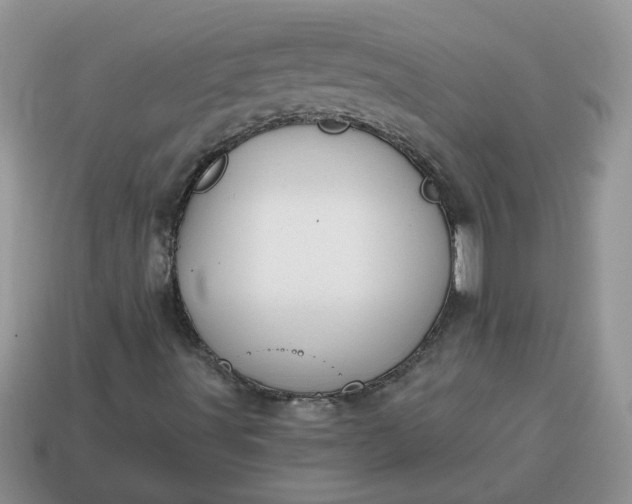 X0000115031491200911091332