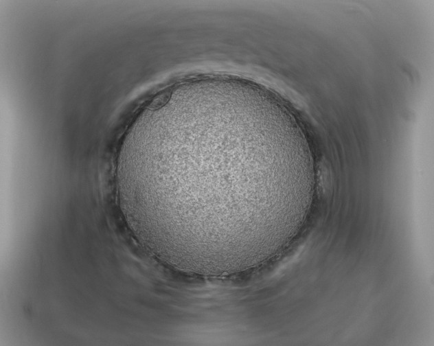 X0000115031494200911091332