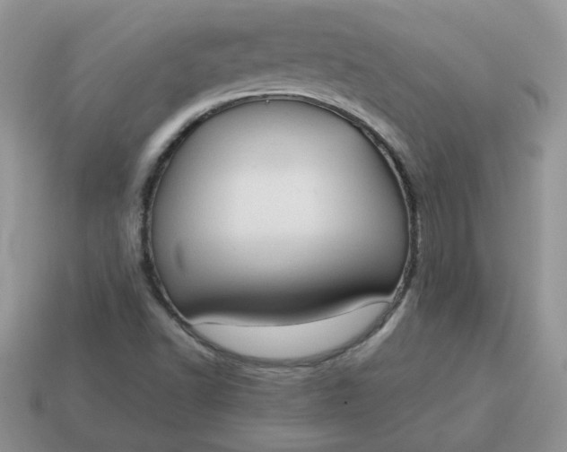 X0000115031502200911091332