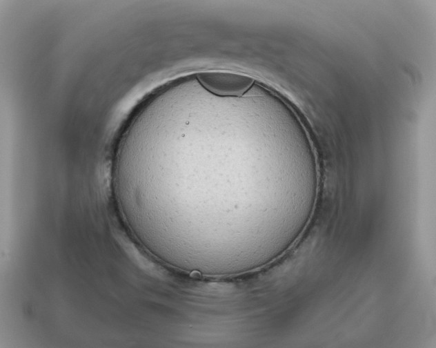 X0000115031503200911091332