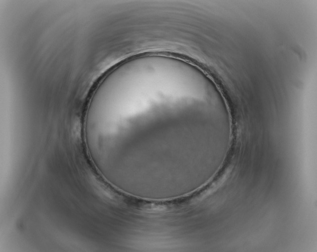 X0000115031505200911091332