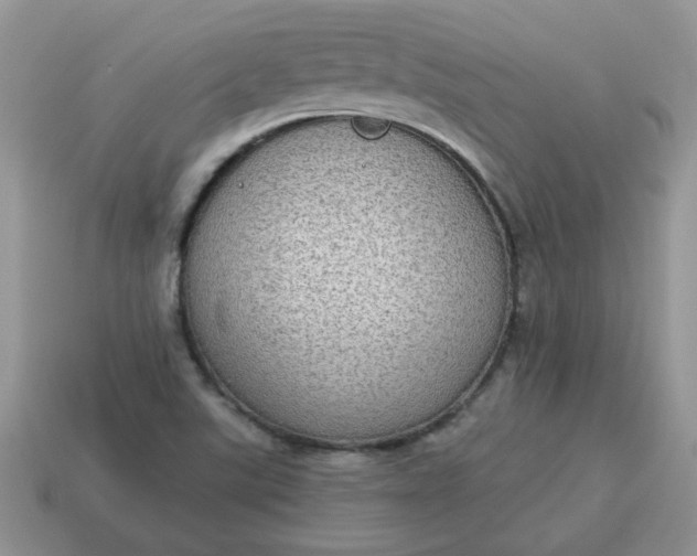X0000115031507200911091332