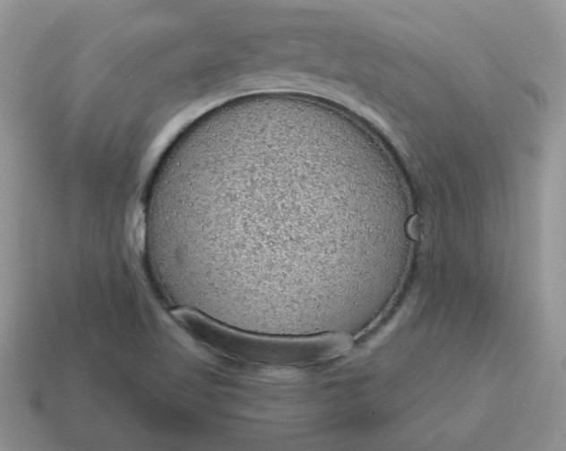 X0000115031509200911091332