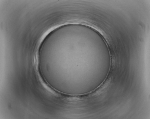 X0000115031515200911091332
