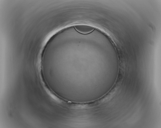 X0000115031519200911091332