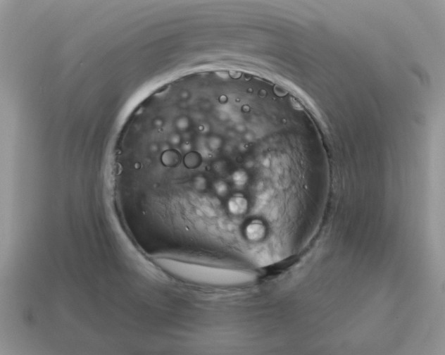 X0000115031522200911091332