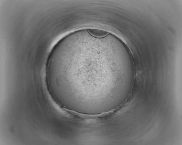 X0000115031523200911091332
