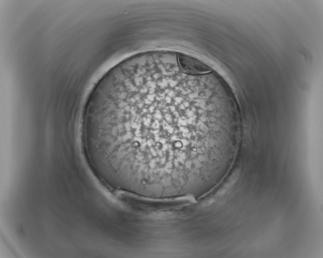 X0000115031525200911091332