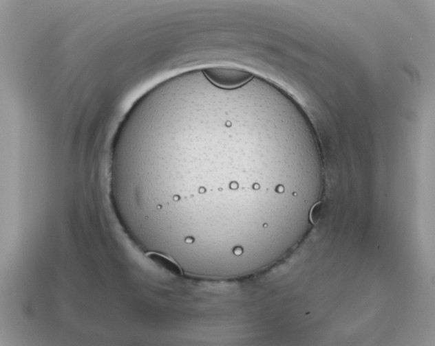 X0000115031526200911091332