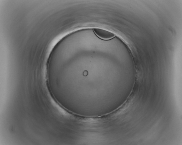 X0000115031527200911091332
