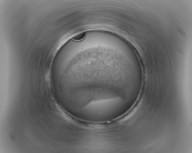 X0000115031529200911091332