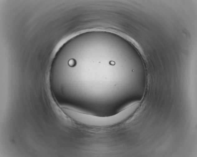 X0000115031530200911091332