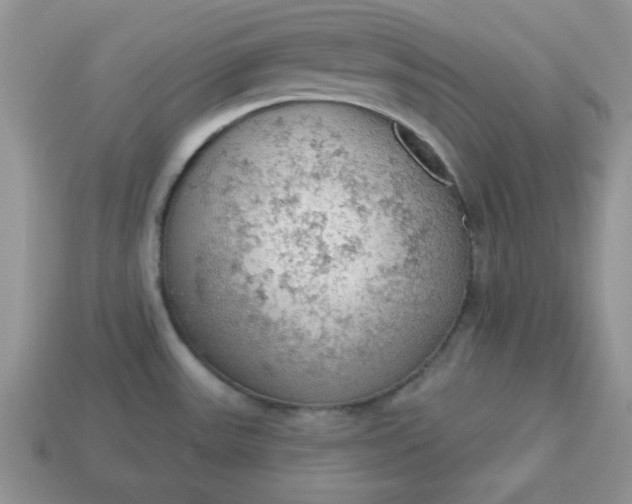 X0000115031531200911091332