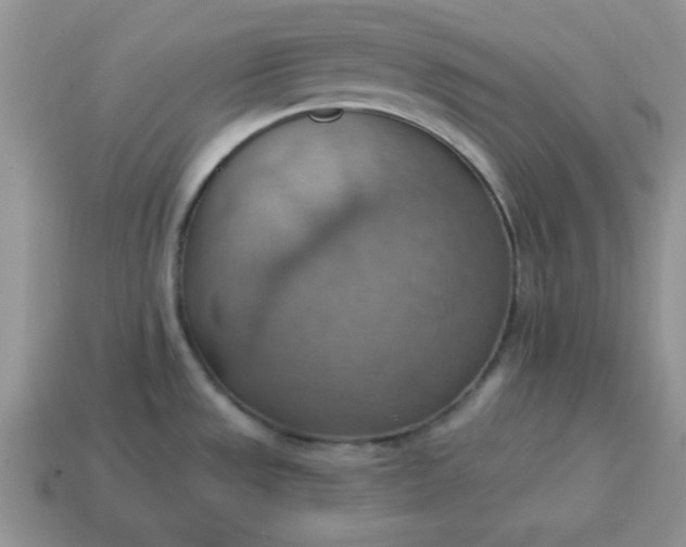X0000115031533200911091332