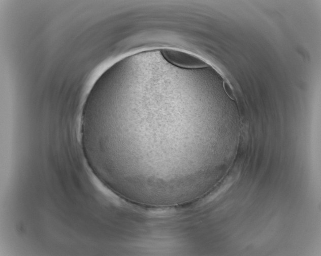 X0000115031535200911091332