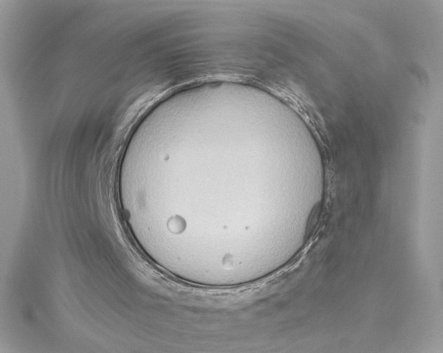 X0000115030001200911161516