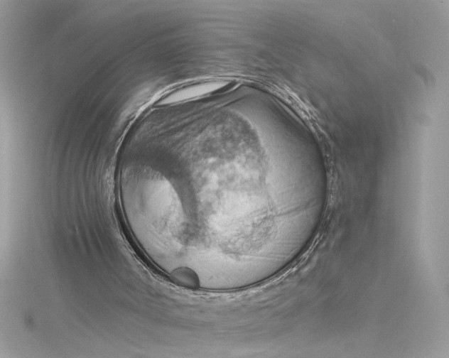 X0000115030002200911161516