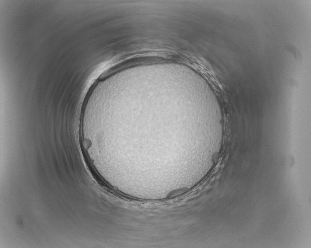 X0000115030003200911161516