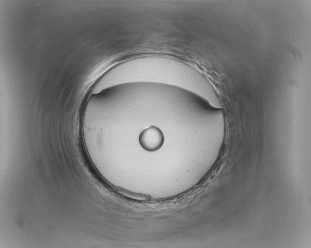 X0000115030005200911161516