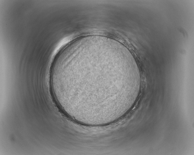 X0000115030006200911161516