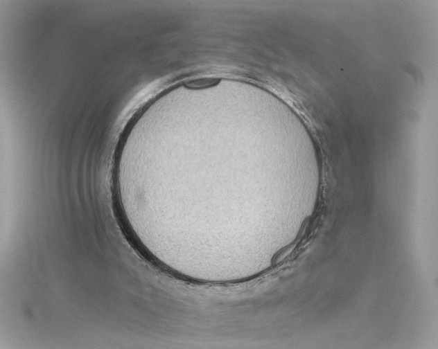 X0000115030007200911161516