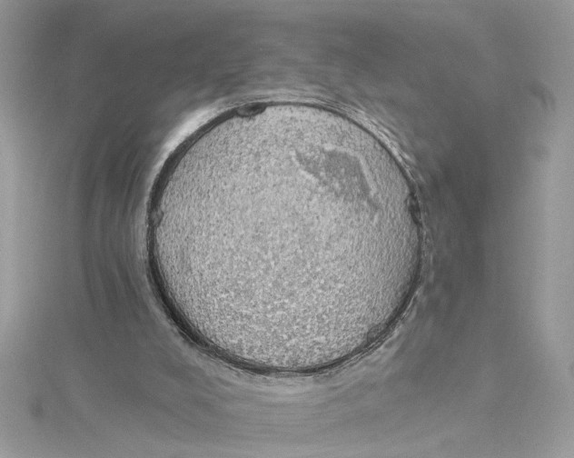 X0000115030008200911161516