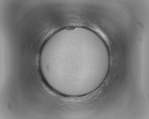 X0000115030009200911161516