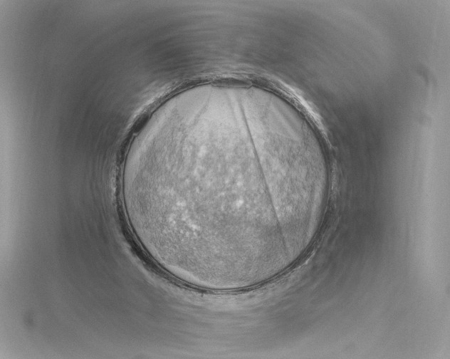 X0000115030010200911161516