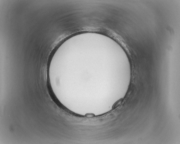 X0000115030011200911161516