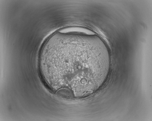 X0000115030012200911161516