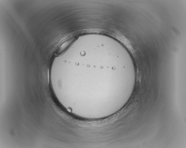 X0000115030013200911161516