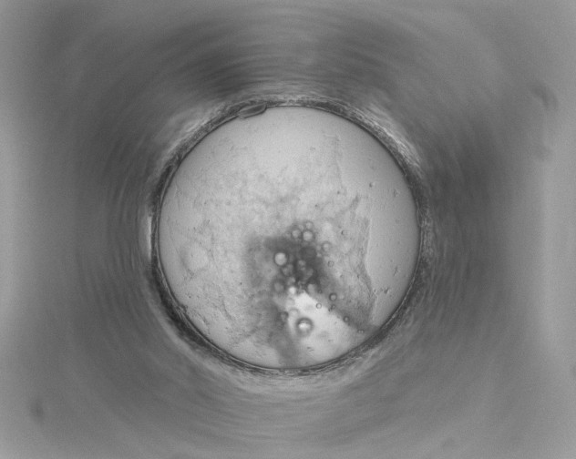 X0000115030014200911161516