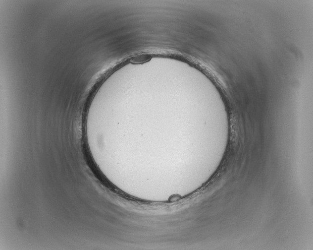 X0000115030015200911161516