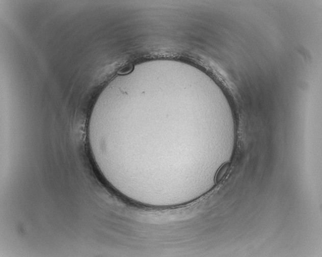 X0000115030017200911161516