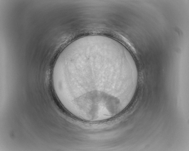 X0000115030018200911161516