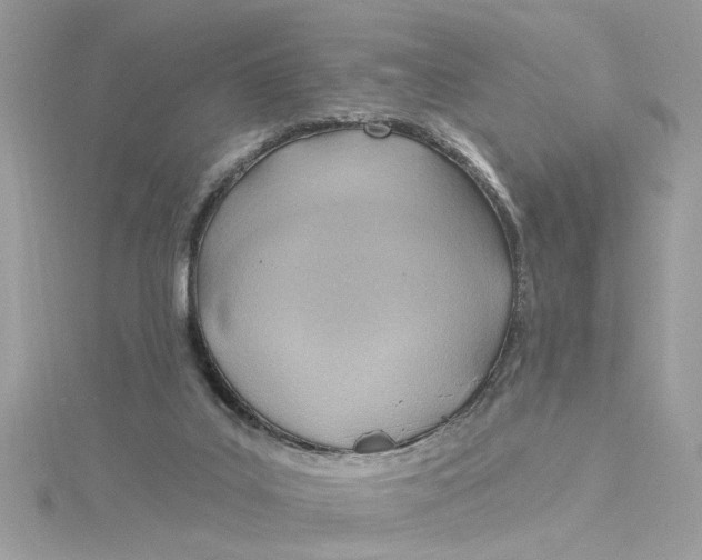 X0000115030019200911161516