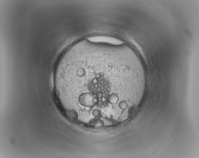 X0000115030020200911161516