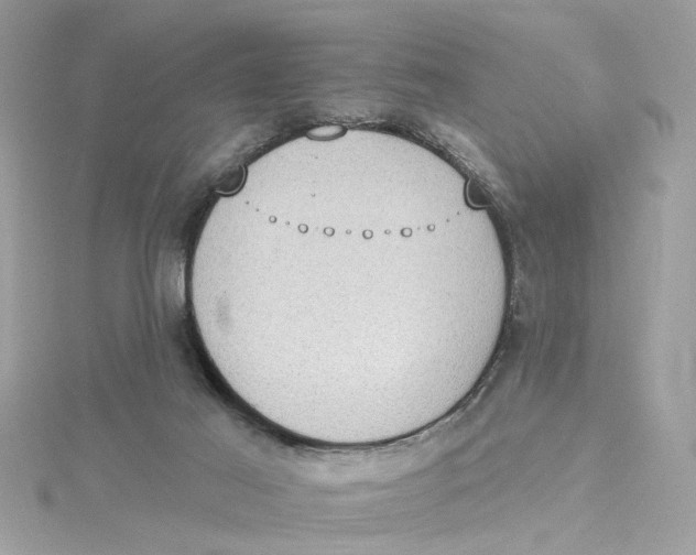 X0000115030021200911161516