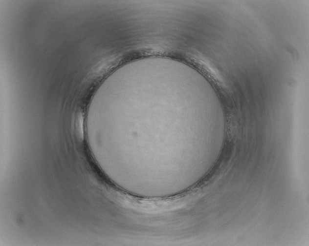 X0000115030022200911161516