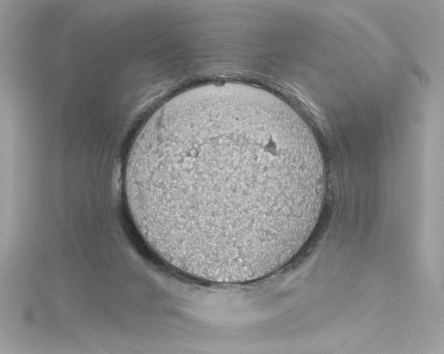 X0000115030024200911161516