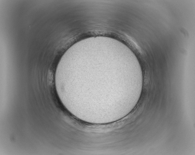 X0000115030025200911161516